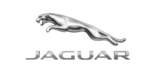 JAGUAR JAGUAR
